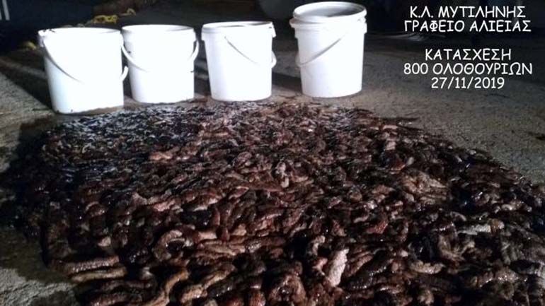 Αλιευτικός έλεγχος στη Μυτιλήνη